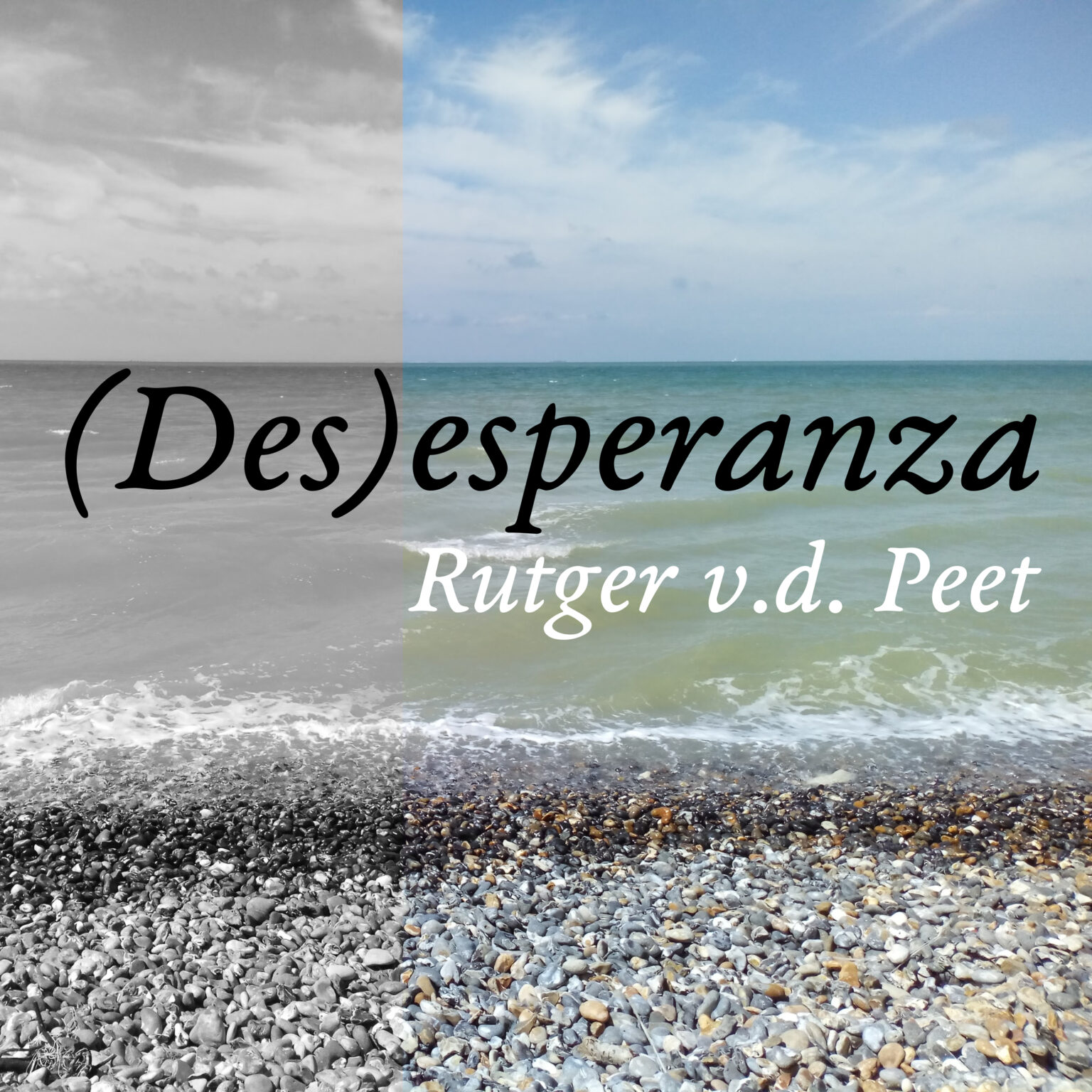 Desesperanza album Rutger van der Peet